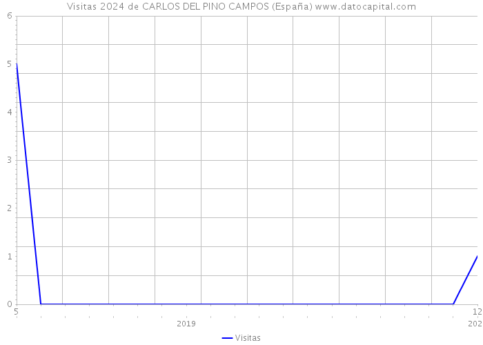 Visitas 2024 de CARLOS DEL PINO CAMPOS (España) 