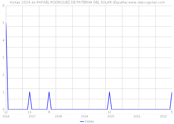 Visitas 2024 de RAFAEL RODRIGUEZ DE PATERNA DEL SOLAR (España) 