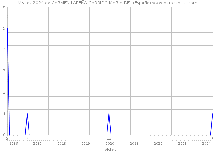 Visitas 2024 de CARMEN LAPEÑA GARRIDO MARIA DEL (España) 
