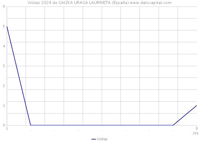Visitas 2024 de GAIZKA URAGA LAURRIETA (España) 
