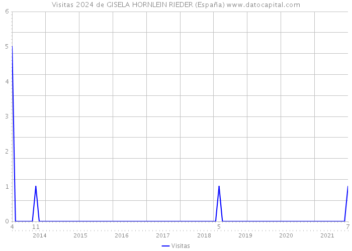 Visitas 2024 de GISELA HORNLEIN RIEDER (España) 