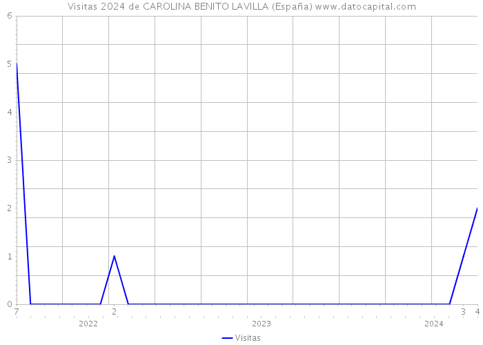 Visitas 2024 de CAROLINA BENITO LAVILLA (España) 