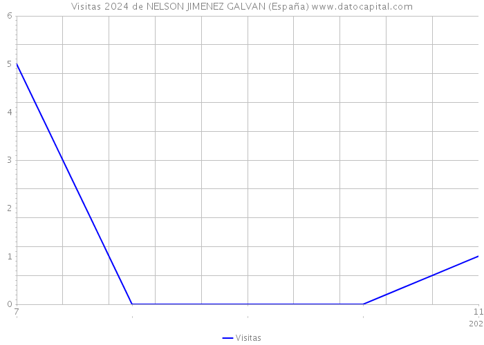 Visitas 2024 de NELSON JIMENEZ GALVAN (España) 
