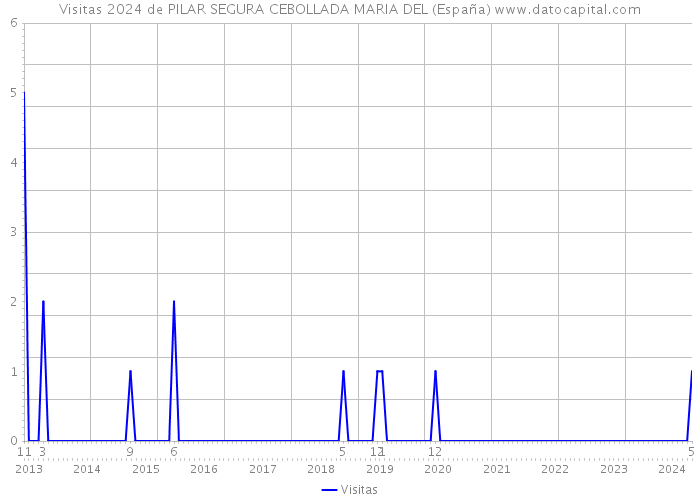 Visitas 2024 de PILAR SEGURA CEBOLLADA MARIA DEL (España) 