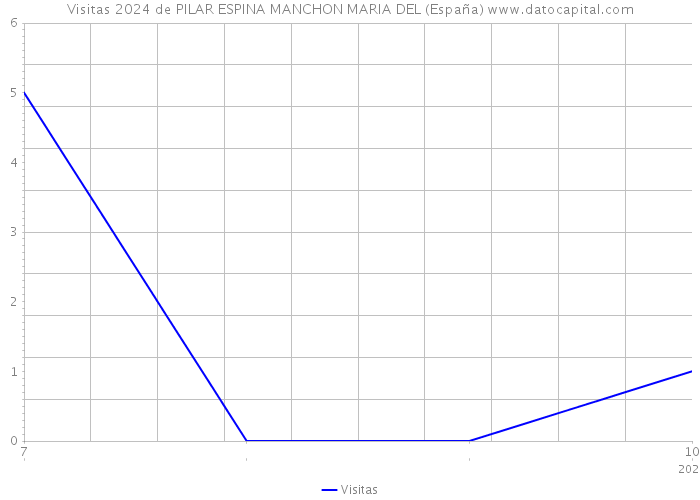 Visitas 2024 de PILAR ESPINA MANCHON MARIA DEL (España) 