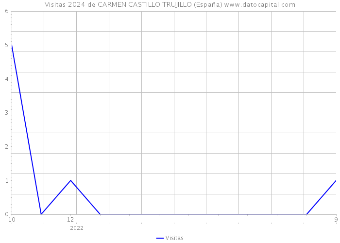 Visitas 2024 de CARMEN CASTILLO TRUJILLO (España) 