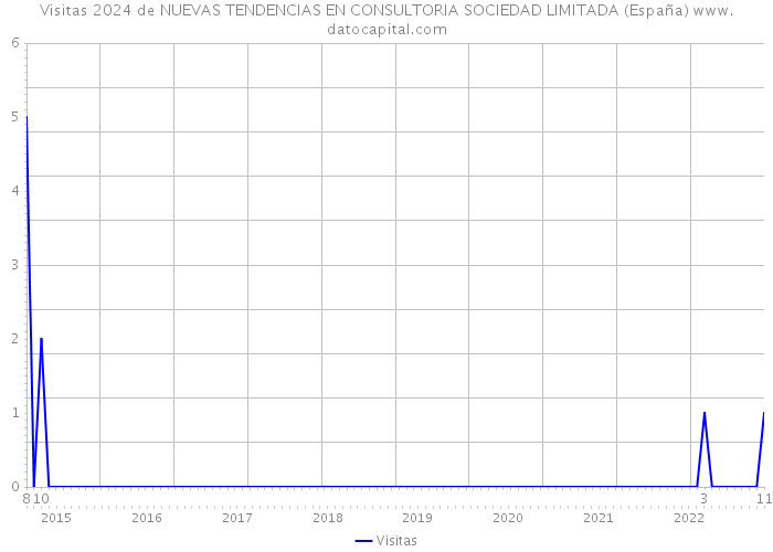 Visitas 2024 de NUEVAS TENDENCIAS EN CONSULTORIA SOCIEDAD LIMITADA (España) 