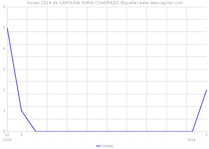 Visitas 2024 de CAROLINA SORIA CUADRADO (España) 