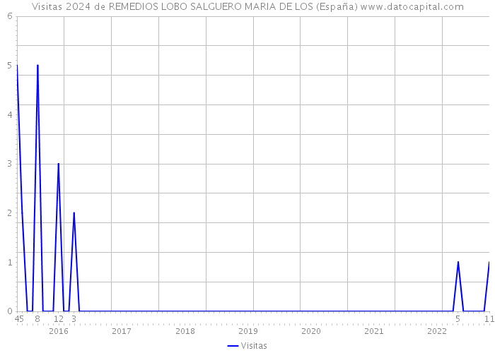 Visitas 2024 de REMEDIOS LOBO SALGUERO MARIA DE LOS (España) 