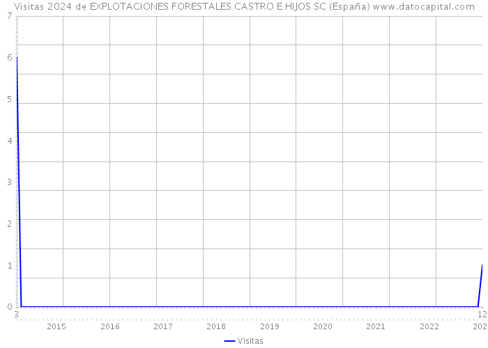 Visitas 2024 de EXPLOTACIONES FORESTALES CASTRO E HIJOS SC (España) 