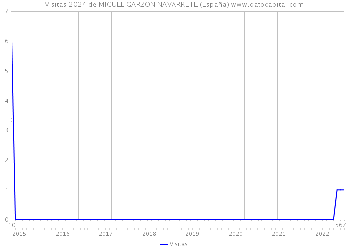Visitas 2024 de MIGUEL GARZON NAVARRETE (España) 