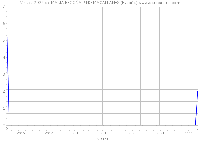 Visitas 2024 de MARIA BEGOÑA PINO MAGALLANES (España) 