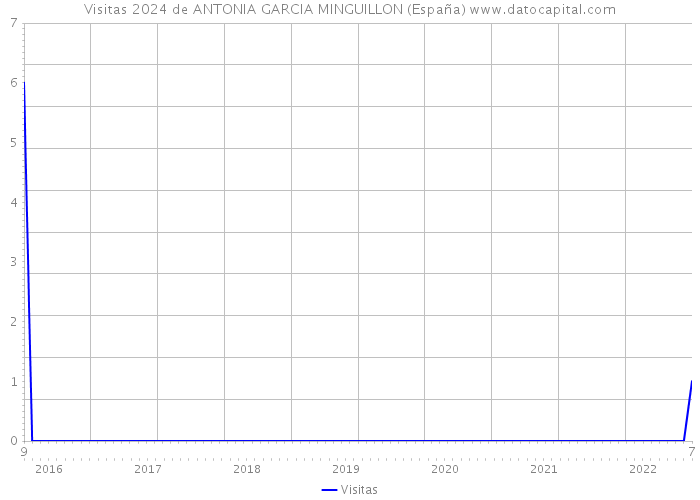Visitas 2024 de ANTONIA GARCIA MINGUILLON (España) 