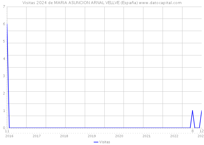 Visitas 2024 de MARIA ASUNCION ARNAL VELLVE (España) 