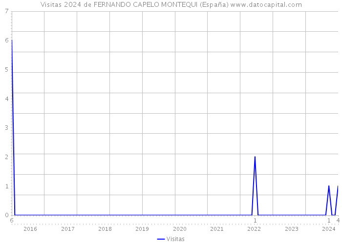 Visitas 2024 de FERNANDO CAPELO MONTEQUI (España) 