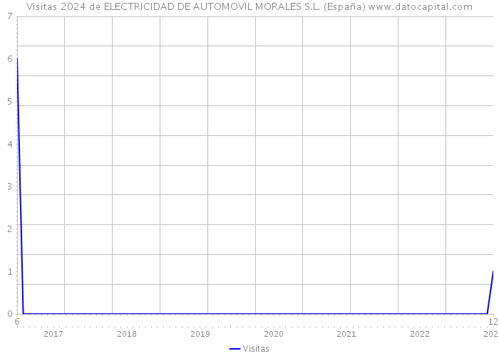 Visitas 2024 de ELECTRICIDAD DE AUTOMOVIL MORALES S.L. (España) 