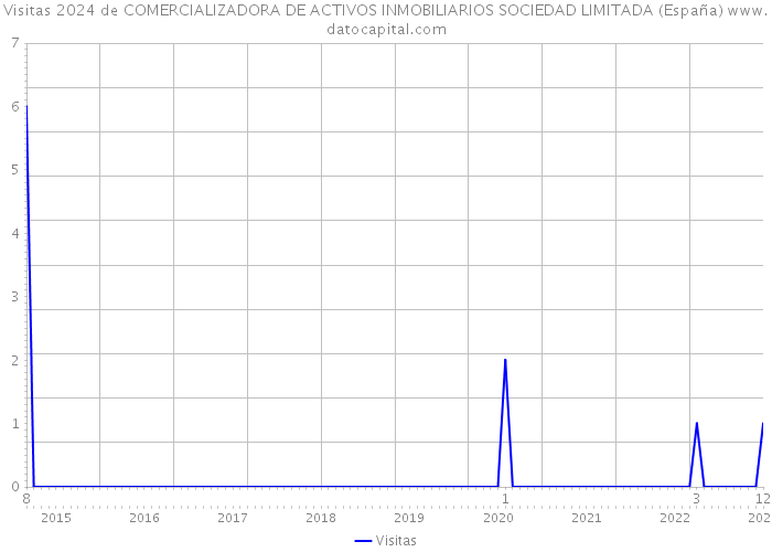 Visitas 2024 de COMERCIALIZADORA DE ACTIVOS INMOBILIARIOS SOCIEDAD LIMITADA (España) 