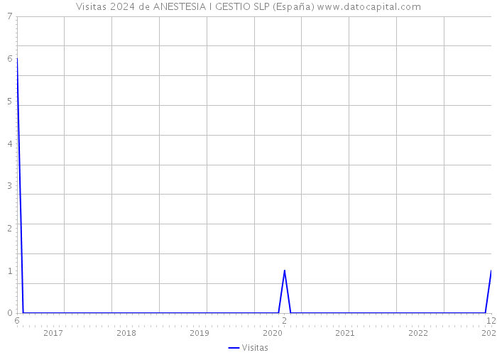 Visitas 2024 de ANESTESIA I GESTIO SLP (España) 