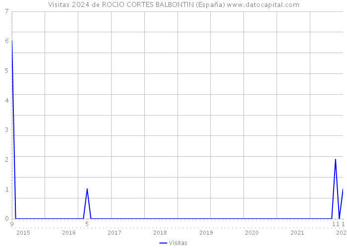 Visitas 2024 de ROCIO CORTES BALBONTIN (España) 