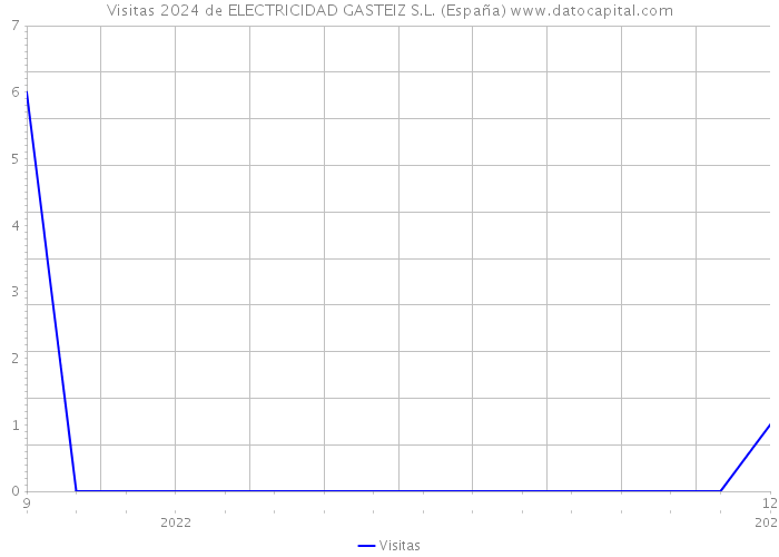 Visitas 2024 de ELECTRICIDAD GASTEIZ S.L. (España) 