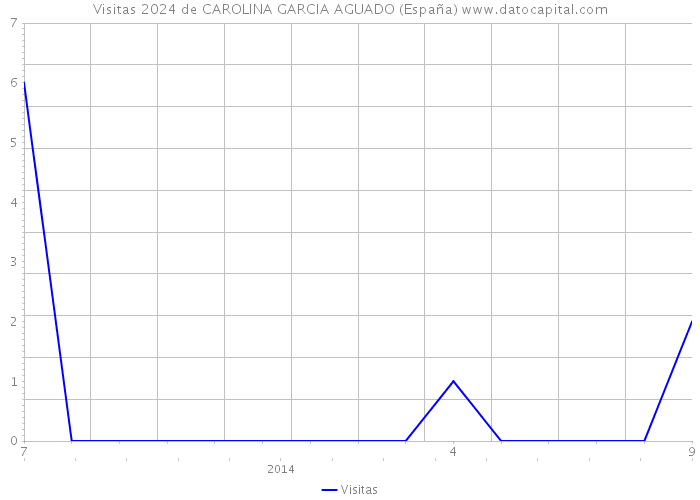 Visitas 2024 de CAROLINA GARCIA AGUADO (España) 