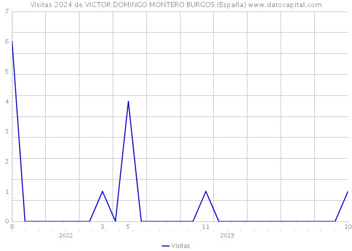 Visitas 2024 de VICTOR DOMINGO MONTERO BURGOS (España) 