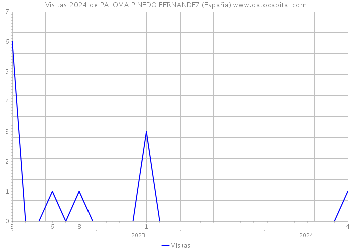 Visitas 2024 de PALOMA PINEDO FERNANDEZ (España) 