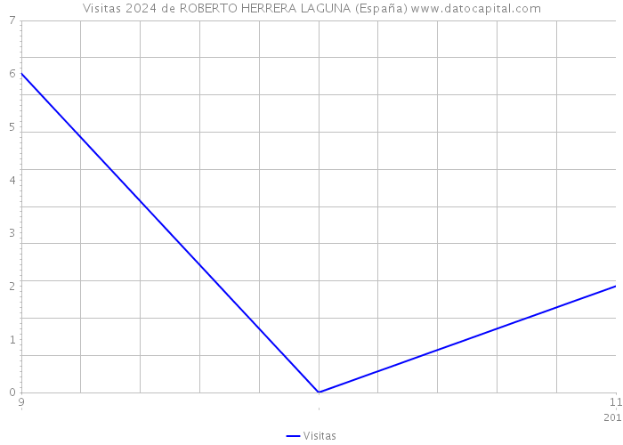 Visitas 2024 de ROBERTO HERRERA LAGUNA (España) 