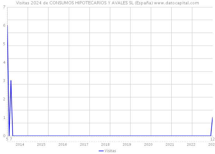 Visitas 2024 de CONSUMOS HIPOTECARIOS Y AVALES SL (España) 