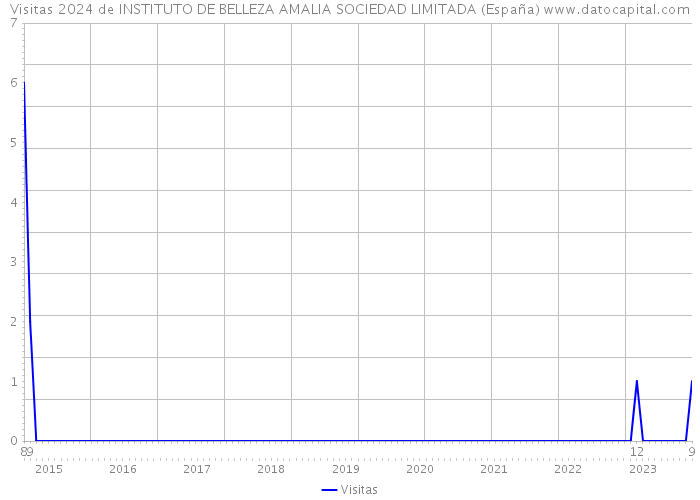 Visitas 2024 de INSTITUTO DE BELLEZA AMALIA SOCIEDAD LIMITADA (España) 
