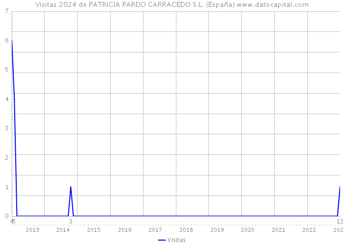 Visitas 2024 de PATRICIA PARDO CARRACEDO S.L. (España) 