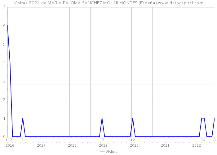 Visitas 2024 de MARIA PALOMA SANCHEZ MOLINI MONTES (España) 