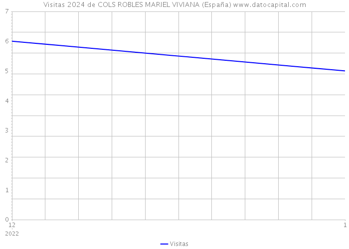 Visitas 2024 de COLS ROBLES MARIEL VIVIANA (España) 