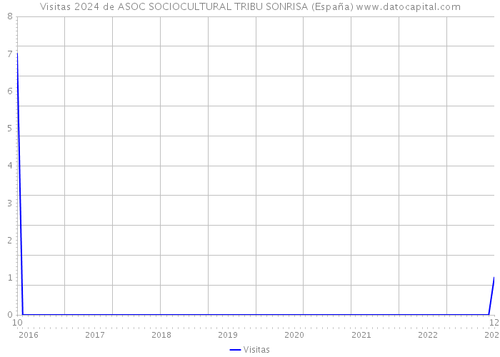 Visitas 2024 de ASOC SOCIOCULTURAL TRIBU SONRISA (España) 