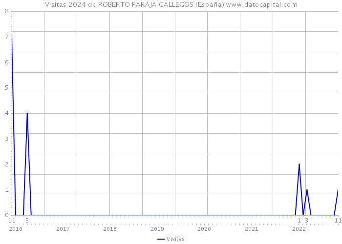 Visitas 2024 de ROBERTO PARAJA GALLEGOS (España) 