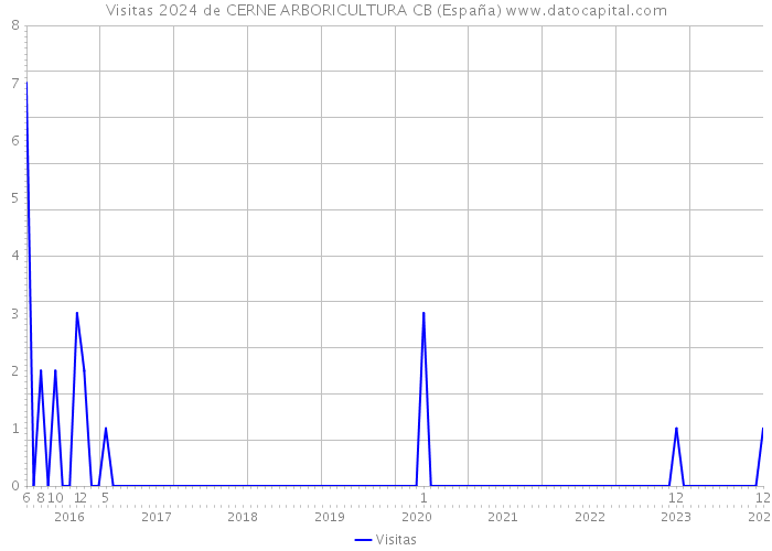 Visitas 2024 de CERNE ARBORICULTURA CB (España) 