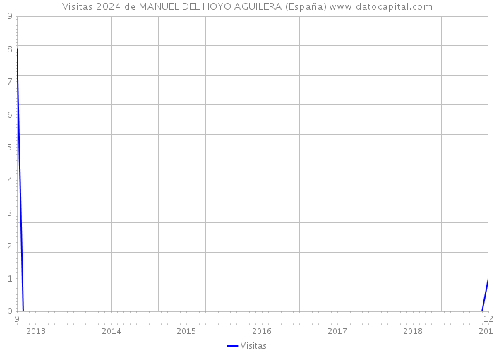 Visitas 2024 de MANUEL DEL HOYO AGUILERA (España) 