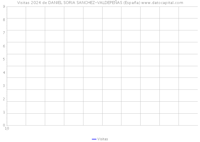 Visitas 2024 de DANIEL SORIA SANCHEZ-VALDEPEÑAS (España) 