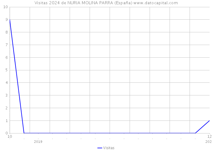 Visitas 2024 de NURIA MOLINA PARRA (España) 