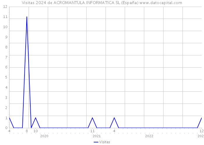 Visitas 2024 de ACROMANTULA INFORMATICA SL (España) 