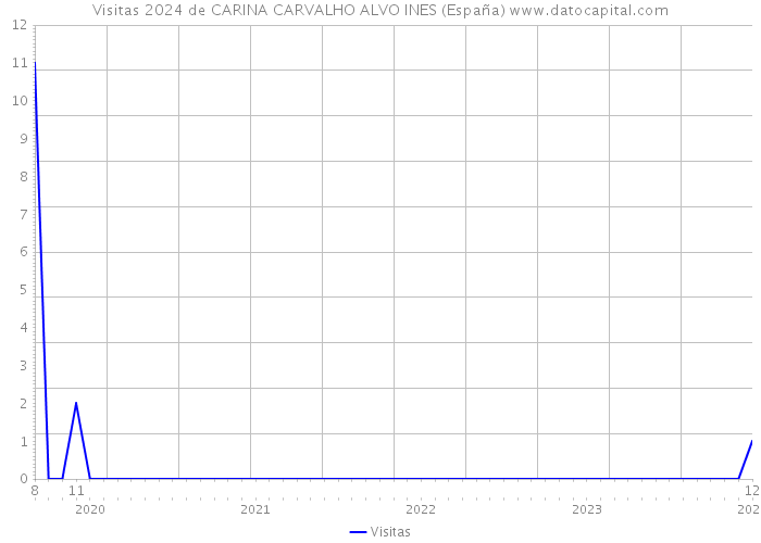 Visitas 2024 de CARINA CARVALHO ALVO INES (España) 