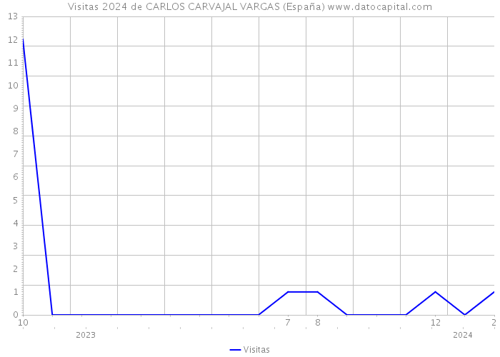 Visitas 2024 de CARLOS CARVAJAL VARGAS (España) 