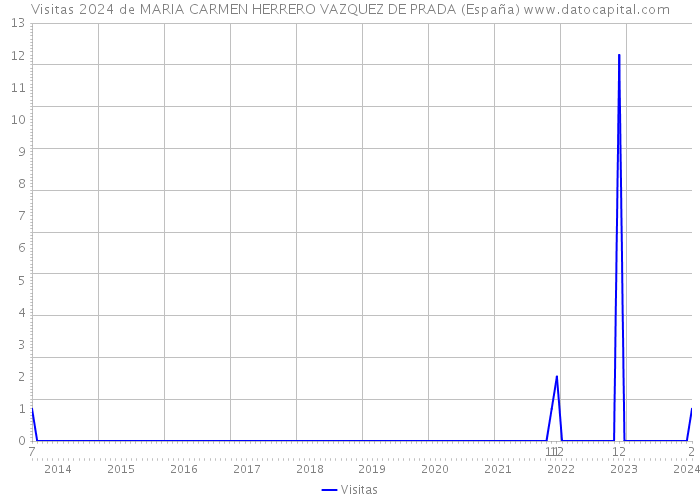 Visitas 2024 de MARIA CARMEN HERRERO VAZQUEZ DE PRADA (España) 