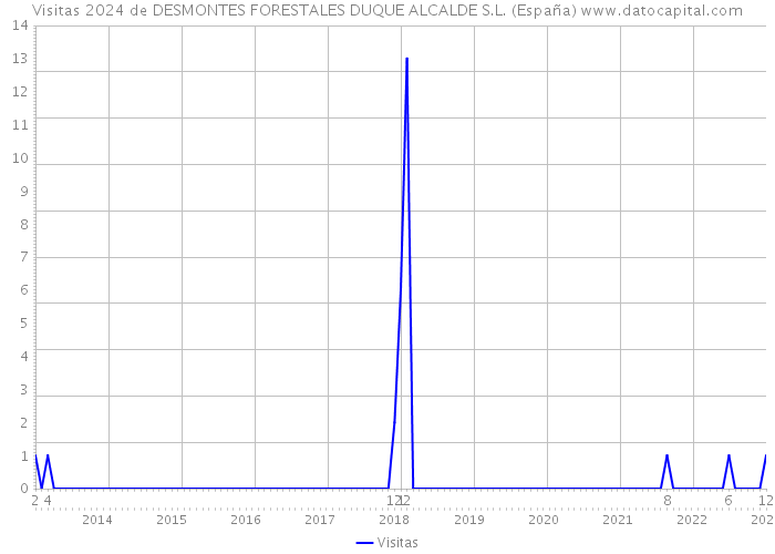 Visitas 2024 de DESMONTES FORESTALES DUQUE ALCALDE S.L. (España) 