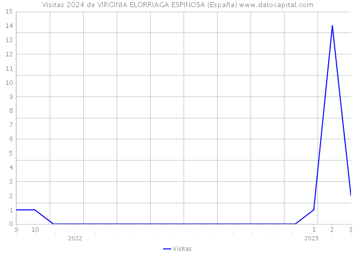 Visitas 2024 de VIRGINIA ELORRIAGA ESPINOSA (España) 