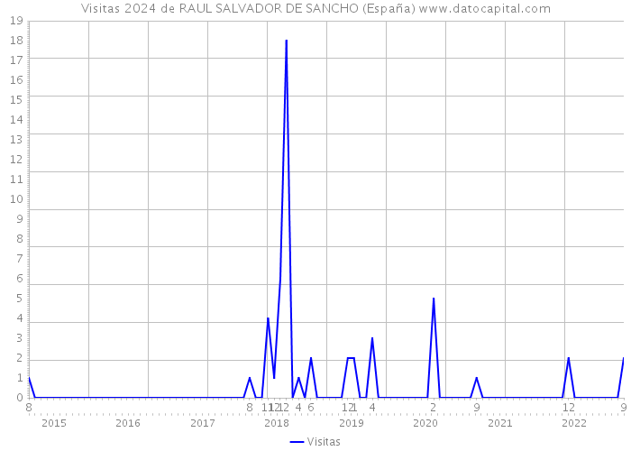 Visitas 2024 de RAUL SALVADOR DE SANCHO (España) 