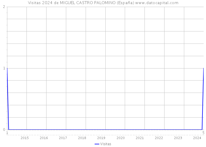 Visitas 2024 de MIGUEL CASTRO PALOMINO (España) 