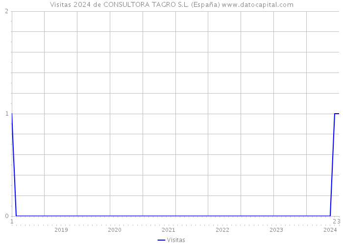 Visitas 2024 de CONSULTORA TAGRO S.L. (España) 