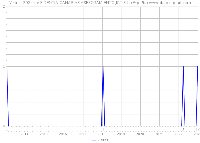 Visitas 2024 de FIDENTIA CANARIAS ASESORAMIENTO JCT S.L. (España) 