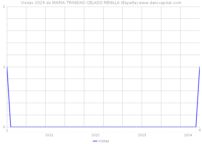 Visitas 2024 de MARIA TRINIDAD GELADO RENILLA (España) 